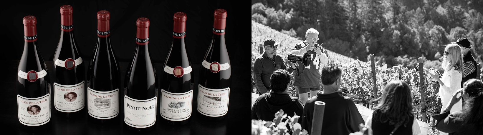 Clos De La Tech Wines